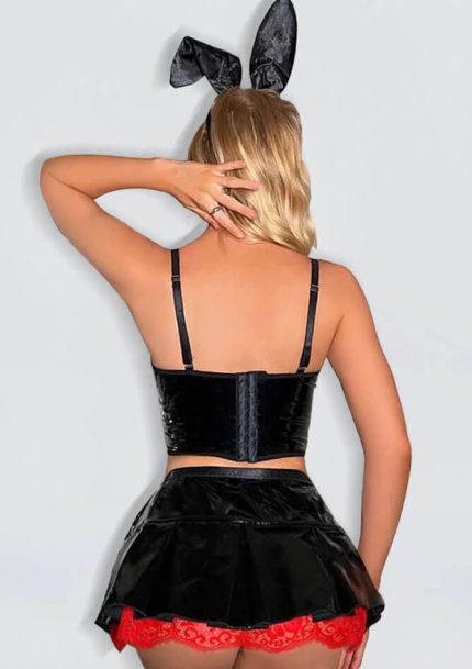 Sexy Bunny Costume (2)