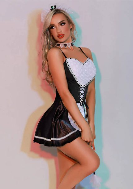 Fantasy Maid Cosplay Lingerie Dress (1)