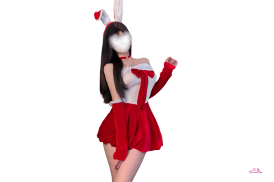 womens lingerie christmas